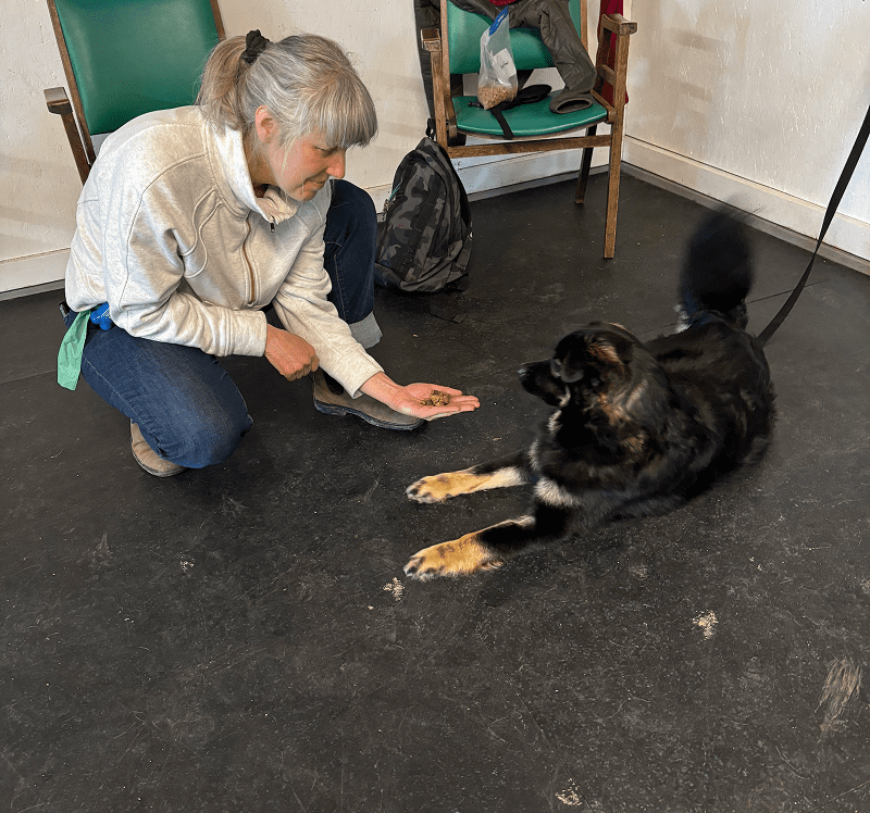 A woman with gray hair plays with a black dog indoors.