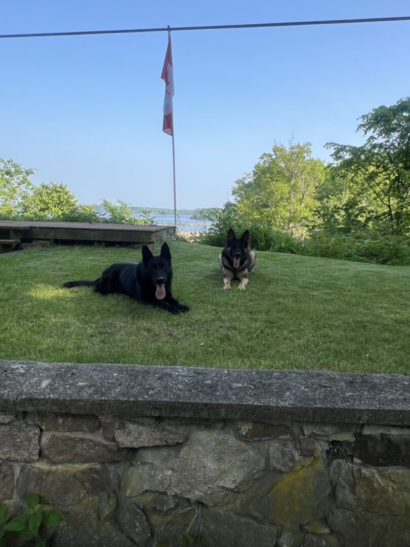 Two black dogs relaxing on a grassy hill near a stone wall with a flagpole in the background.