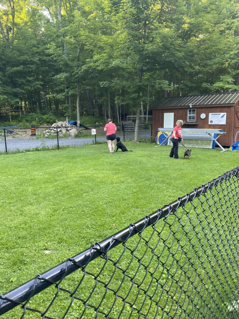 Two people walking dogs in a grassy fenced area near a building.