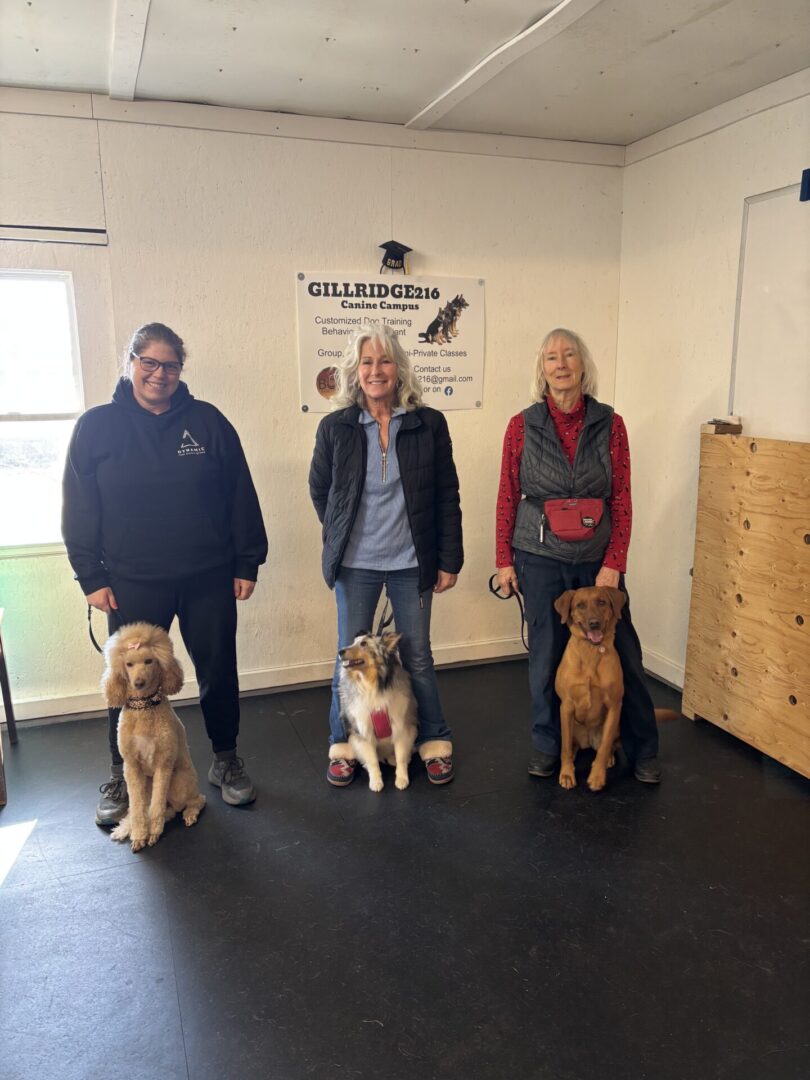 Three people with their dogs posing in a training room.
