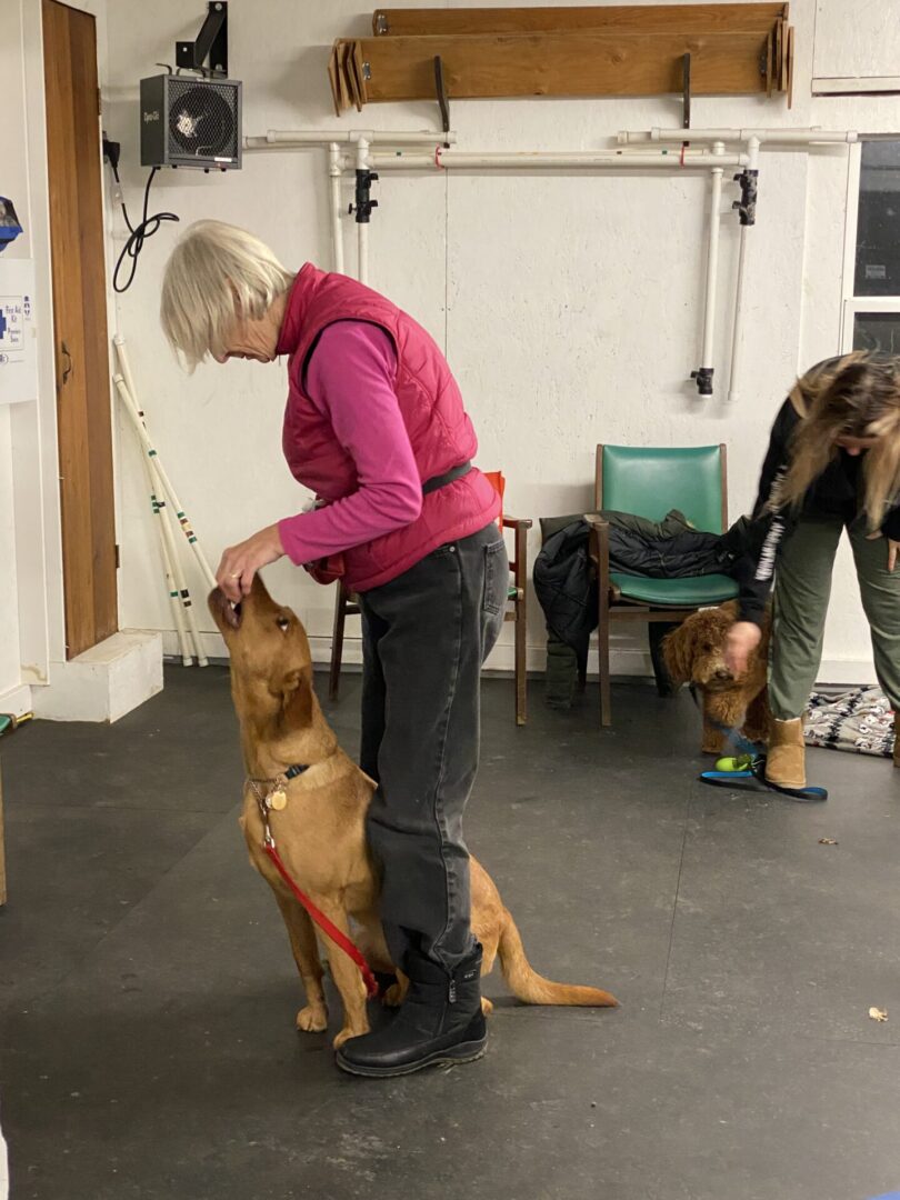 Woman training a dog indoors, holding a treat above its head.