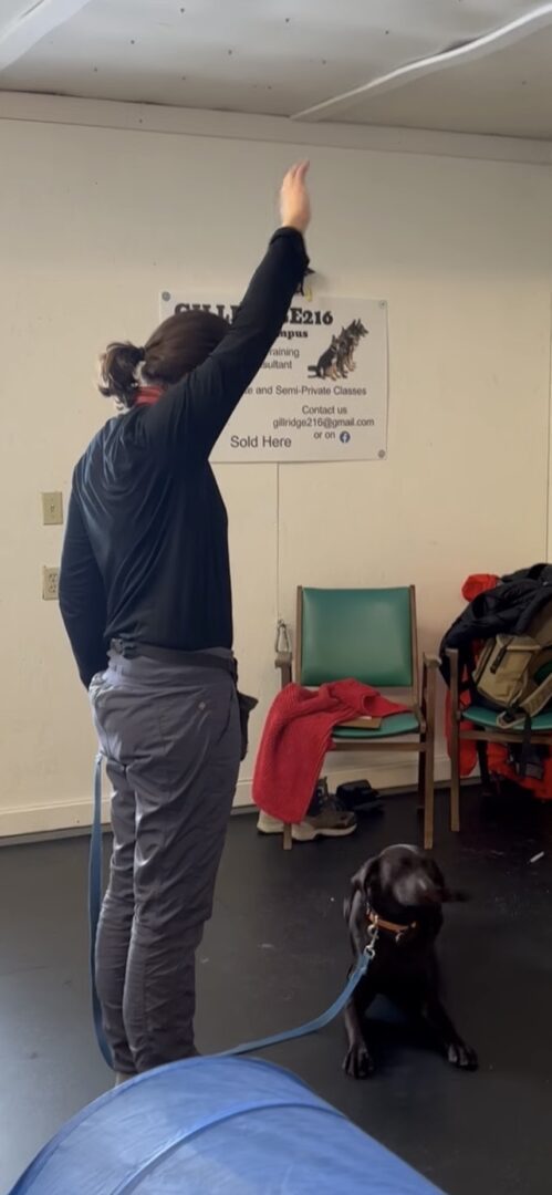 Person adjusting a sign on a wall in a casual setting.