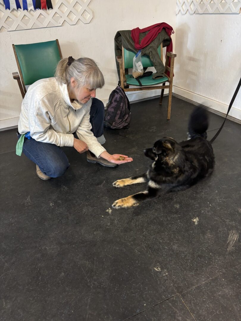 A woman kneels, holding a treat, as a large black dog lies on the floor.