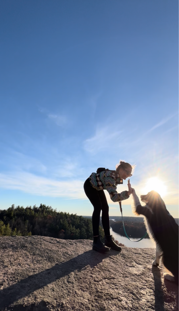 A child plays with a dog under a bright sun in a clear blue sky.