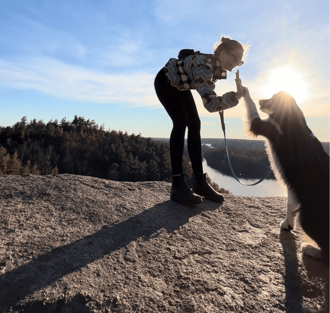 Person playing tug-of-war with a dog at sunset on a rocky surface.