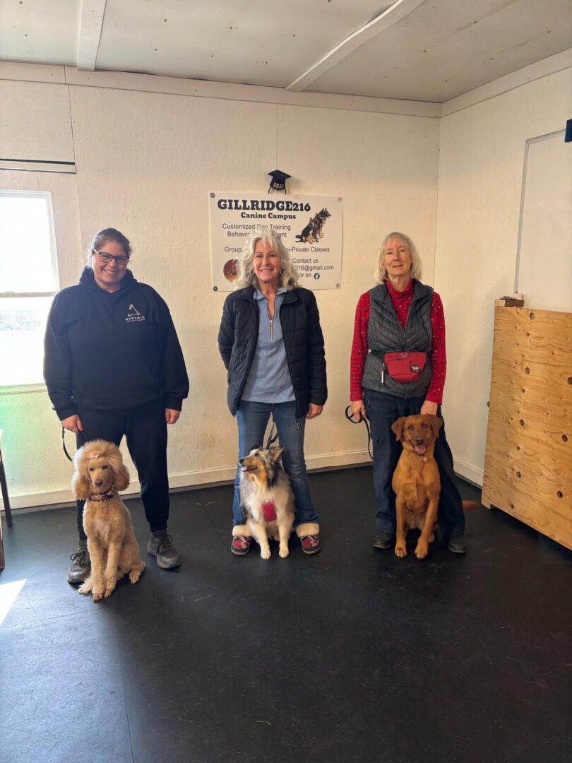 Three people each posing with a dog in a training center.