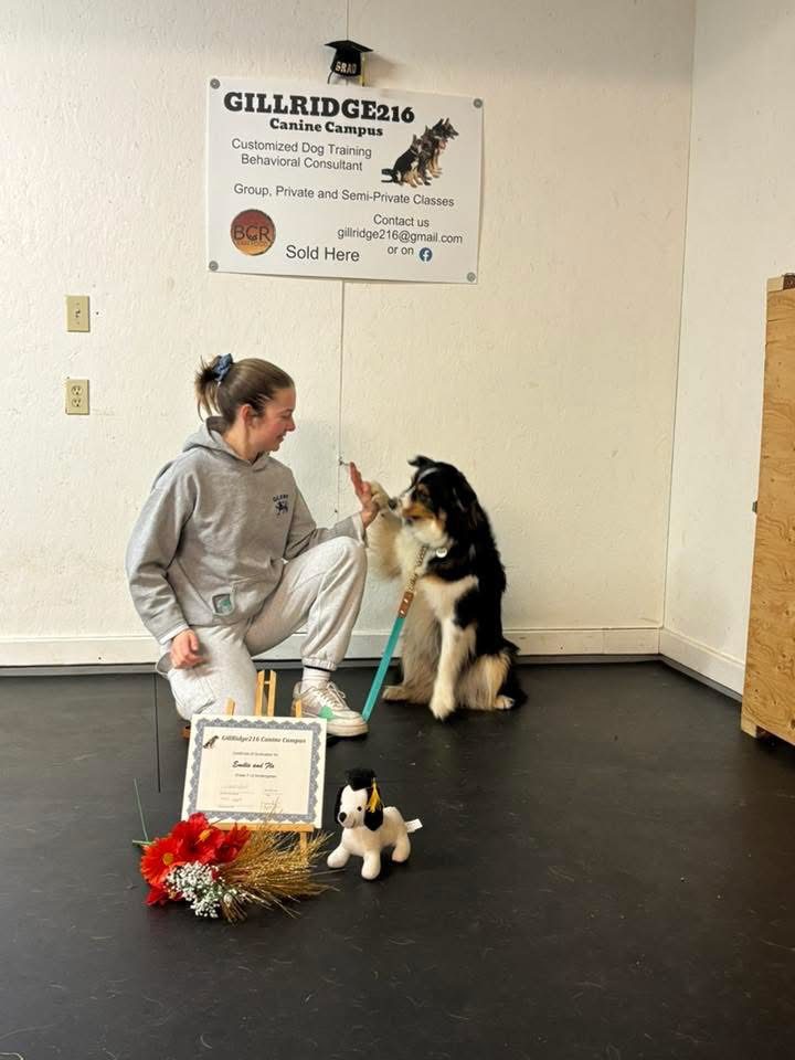 A woman with two dogs inside a room, smiling and interacting.