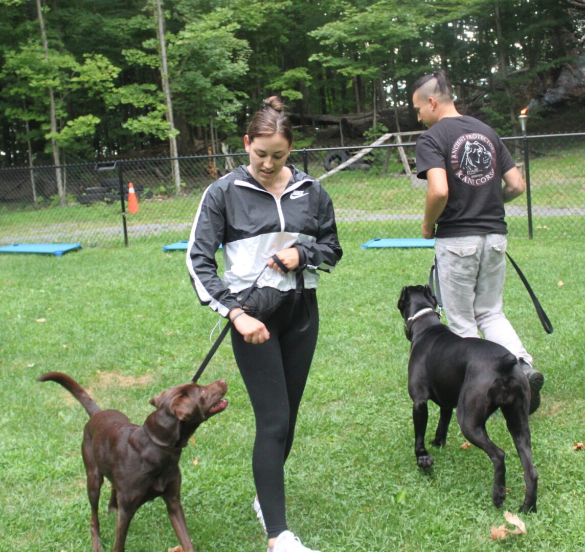 Two people walking dogs in a grassy park area.