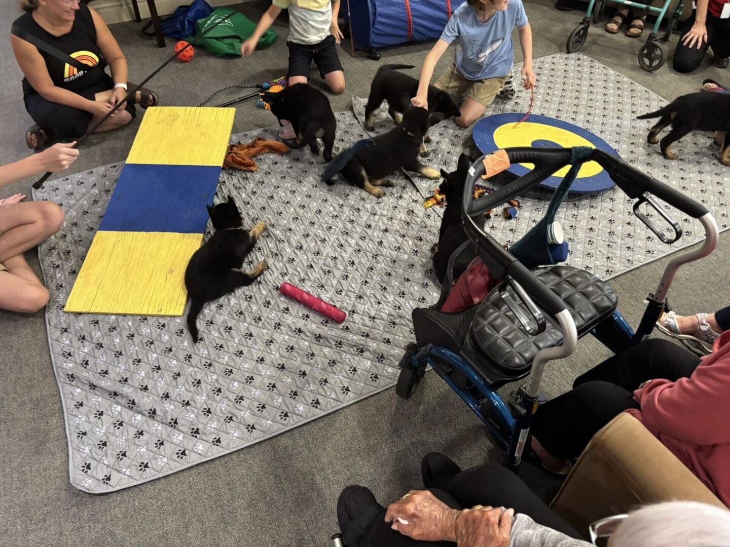 Several black kittens playing on a mat with people around them.