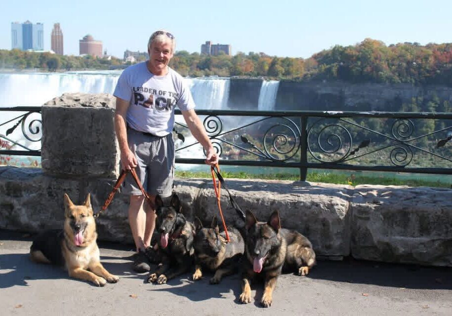 Man with dogs posing near a waterfall on a sunny day.